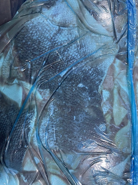 Chum Salmon Skins - Pacific Salmon - $1.71kg - 650kg per Pallet