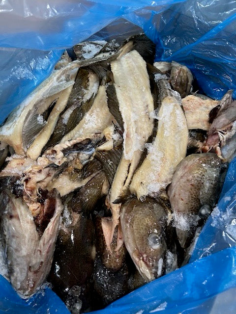 Cod Frames - Heads On - $1.39kg - 650kg per Pallet