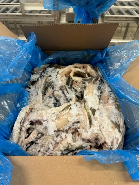 Cod Frames - No Heads - $1.50kg - 680kg per Pallet